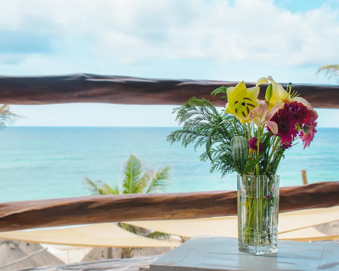 Alma Tulum Hotel Boutique